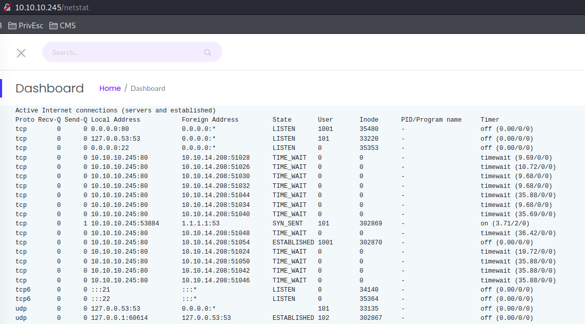 Página "netstat" del servidor web