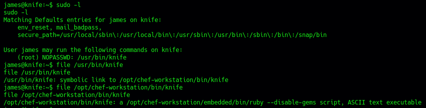 Enumeramos el tipo de archivo que es *knife*