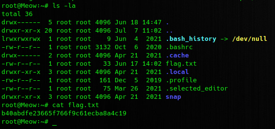 Flag de la máquina Meow