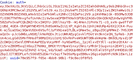 Cookie de autenticación asignada al acceder a la plataforma web