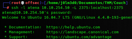 Local Port Forwarding del puerto 2375 mediante SSH